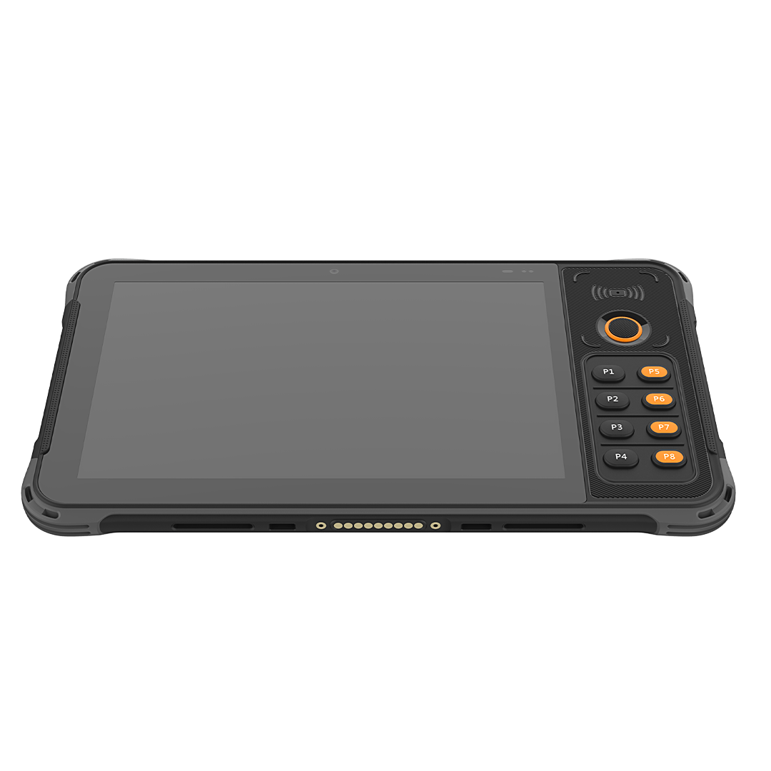 P8100 - Image 2
